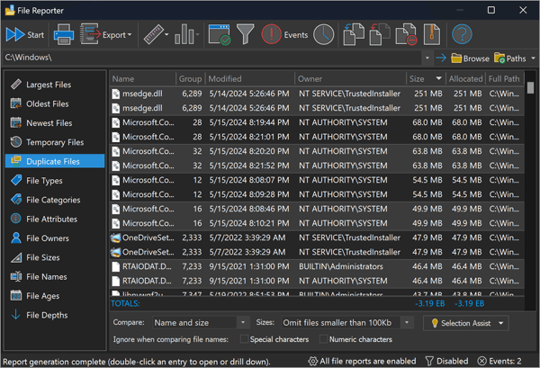 Duplicate Files Report