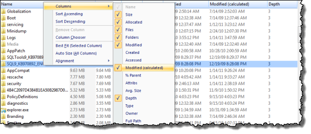FolderSizes detail view column selection