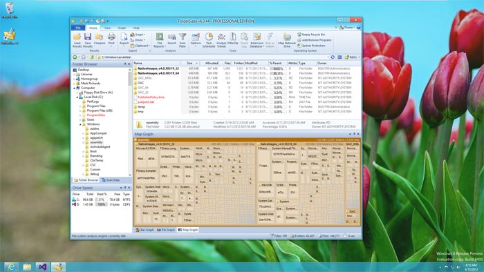 FolderSizes running on Windows 8
